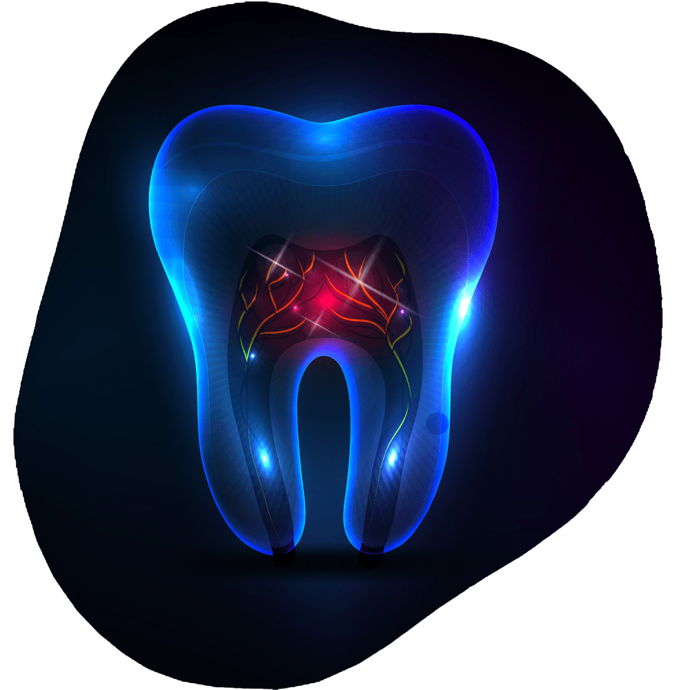 Root Canal | Toothville Family Dentistry | NW Calgary | General Dentist